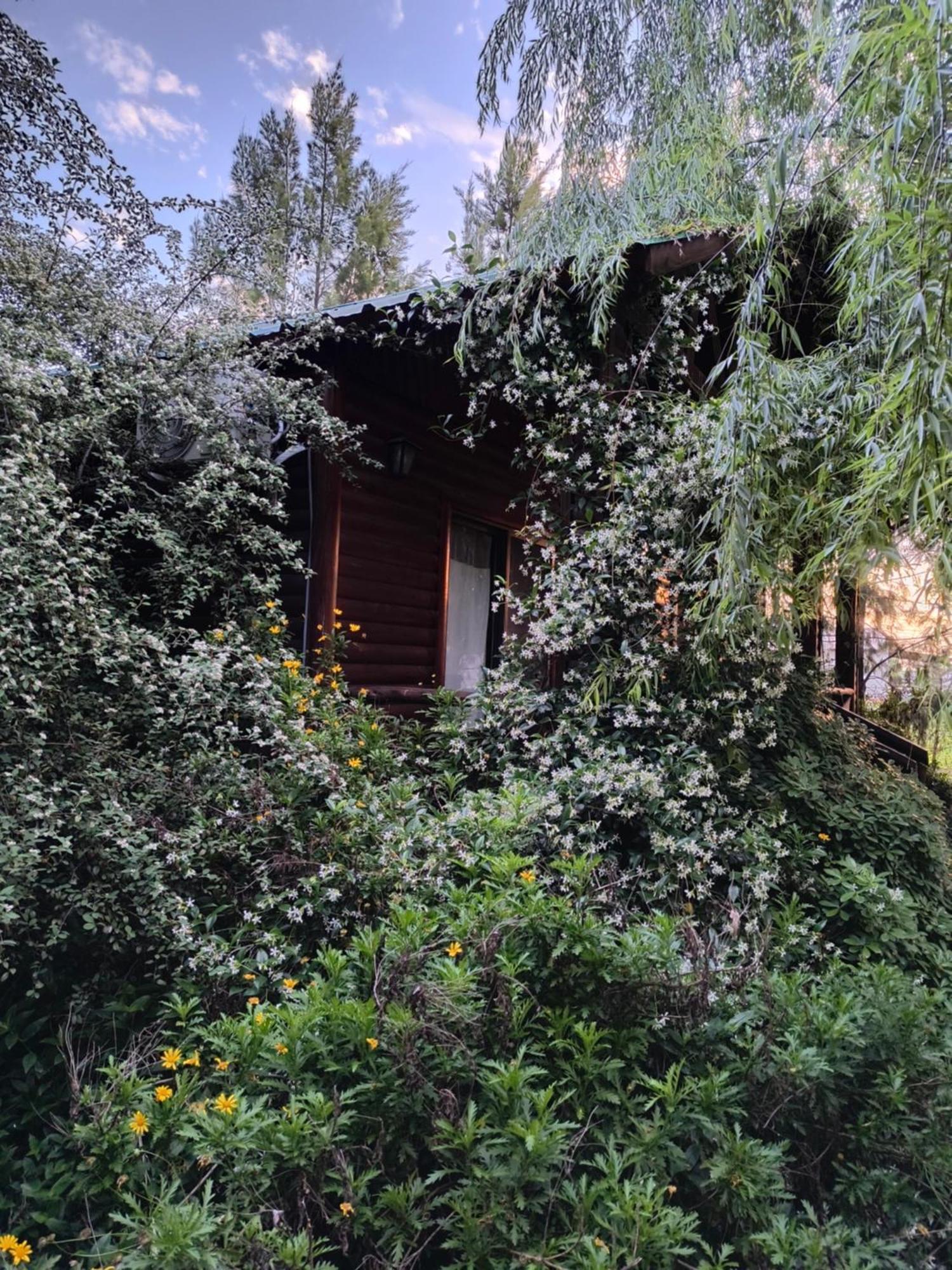 Iremía Casa rural Uribelarrea